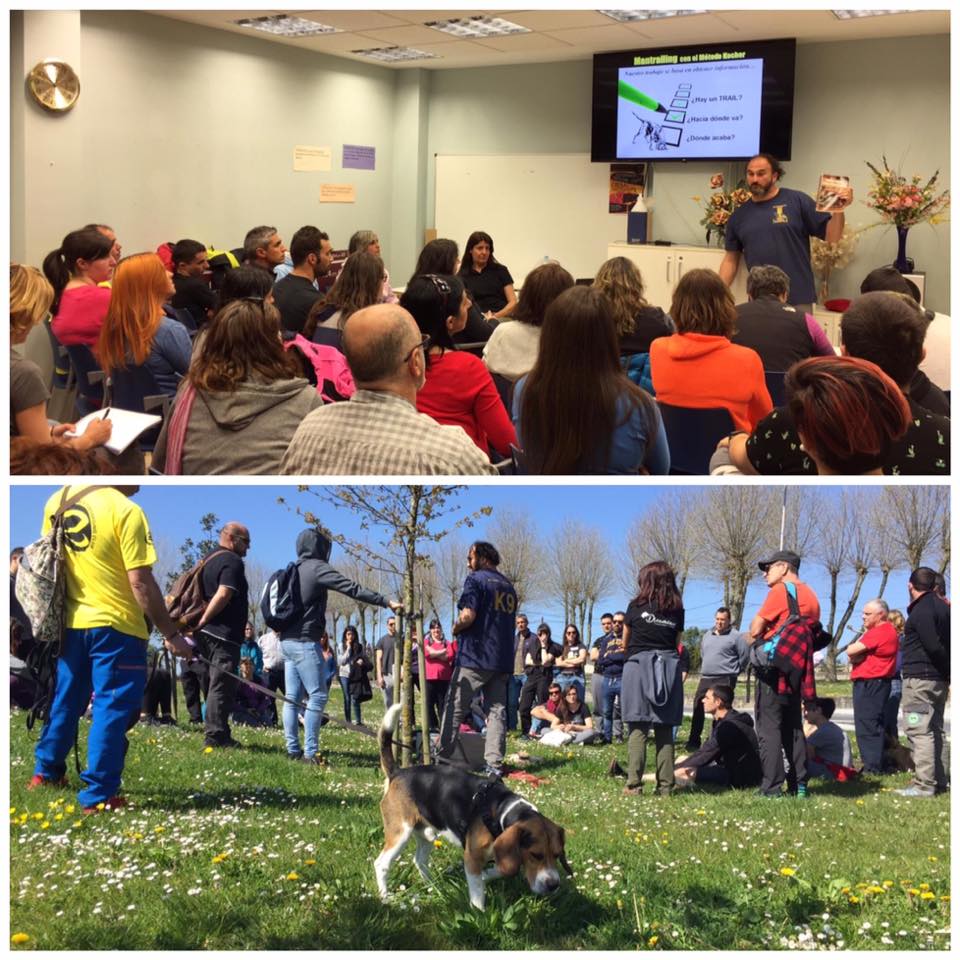 55465155_2253265431362836_4105760088097030144_n